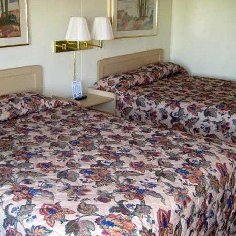 Plaza Inn Springfield Rum bild